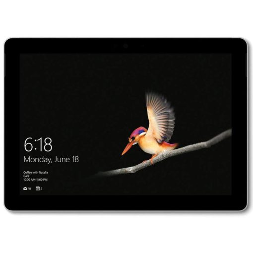 Microsoft Surface Go - LTE 256GB Y 8GB W10P Platinum EU Commercial